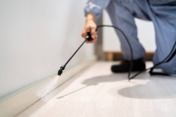 Licensed Cockroach Control service in Ripley, WV - Nex Pest Control