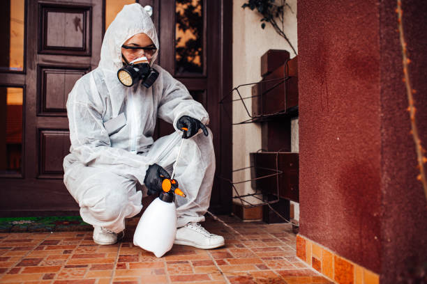 Reliable Cockroach Control contractor in Ripley, WV by Nex Pest Control